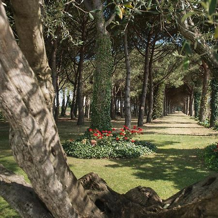 Hotel El Moli Сан-Пера-Пасказо Екстер'єр фото