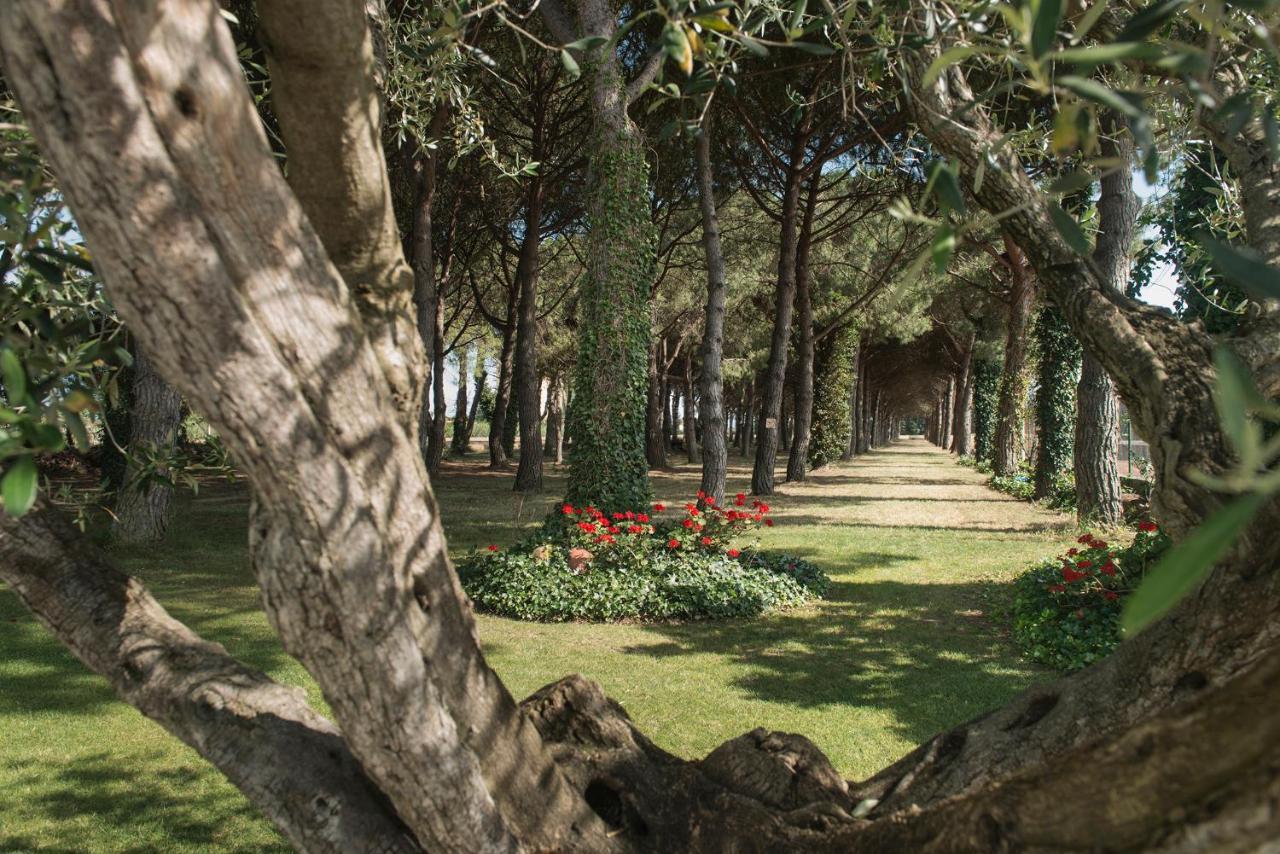 Hotel El Moli Сан-Пера-Пасказо Екстер'єр фото